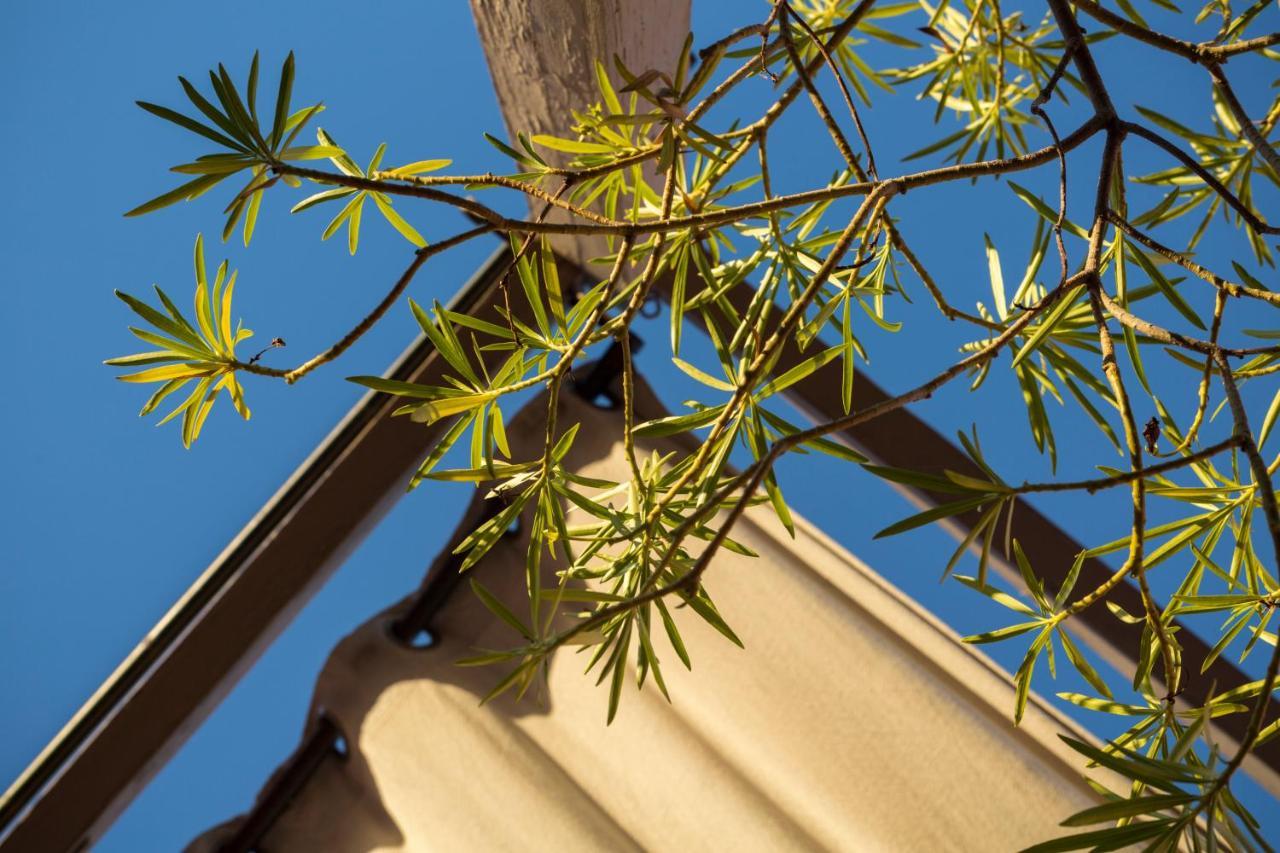 Hotel Riad El Maktoub Marrakesh Exterior foto